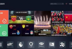 91vst直播,揭秘虚拟音乐世界的无限魅力