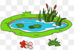 漫画池塘,自然生态的生动画卷